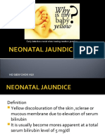 Neonatal Jaundice 1