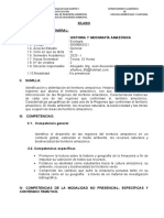 HISTORIA Y GEOGRAFÍA AMAZ. ING. AMBIENTAL Agosto 2020