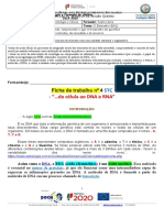 Ficha 4 STC - NG7 - DR1 (19 - 20) Turma D