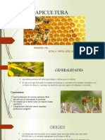 Apicultura. Abejas