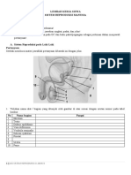 LKS SISTEM REPRODUKSI Hewan Dan Tumbuhan