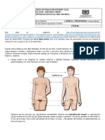 Taller Sobre Reproducción en El Ser Humano