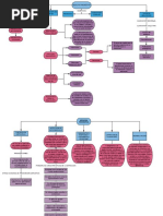 Mapa Conceptual Medicina Preventiva PDF