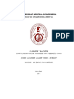 Lab Nº4-Cloruro y Sulfatos