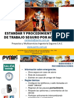 9 - Estandar y Procedimiento Escrito de Trabajo Seguro Por Actividades PYMIS 2020