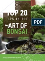 BONSAI: Top 20 Tips