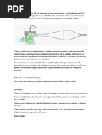 Exposicion 2 Motores 2t y 4t