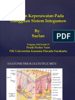 Askep Sistem Integumen Ak13 Agtus