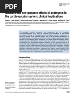 Genomic and Non-Genomic Effects of Androgens in The Cardiovascular System: Clinical Implications