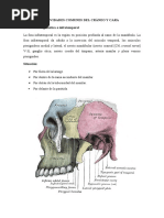 Cavidades Comunes Del Cráneo y Cara