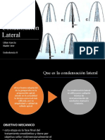 EndoII Condensacion Lateral