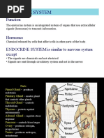 2018 - Endocrine System