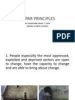 COPAR Principles PDF