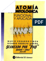 Figun - Anatom - A Odontologica Funcional y Aplicada