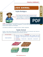 Tejido-Animal-para-Quinto-Grado-de-Primaria 2 Periodo