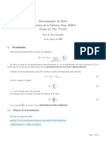 Determinantes Slater PDF