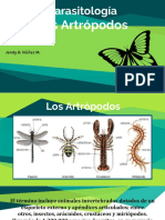 Artropodos 160409051500 PDF