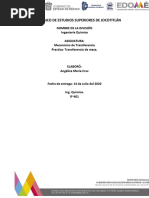 2 Práctica Casera "Transferencia de Masa"