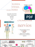 Embriologia Del Sistema Nervioso