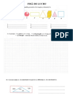 Fisa de Lucru Geometrie