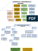 Mapas Conceptuales Lorena Perez Frasser