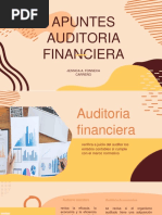 Apuntes Auditoria Financiera