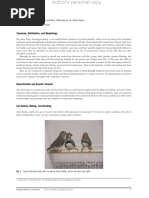 Zebra Finches: Taxonomy, Distribution, and Morphology