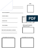 Ficha de Identificación