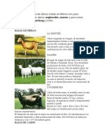 Las Principales Razas de Cabras Criadas en México Son