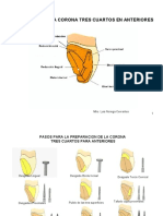 Tallado Pe Piezas Dentarias Protesis II