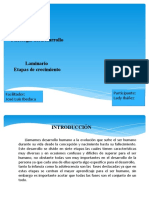 Psicologia Del Desarrollo Laminario Etapas de Crecimiento