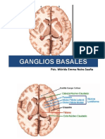 Ganglios Basales