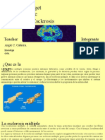 Esclerosis Multiple (Finalizado y Corregido)