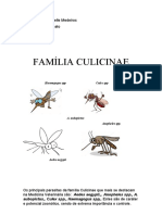 Parasitologia FAMÍLIA CULICINAE