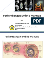 7 Perkembangan EMbrio Manusia PDF