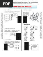 3.habilidad Visual - Raz. Matematico-Mayo