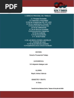 2a. Tarea DPT Principios Procesales y Resoluciones Laborales Del Trabajo Mayte