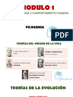 Filogenia Andres Gamba PDF