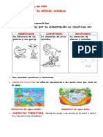 Reino Animal Grado Tercero PDF