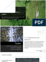 Contaminación de Ríos y Suelos