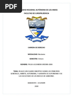 Cuadro Sinoptico Sobre Los Principios Generales, Ambito, Autonomia, y Garantia de Autonomia y de Las Facultades de Los Niveles de Gobierno.