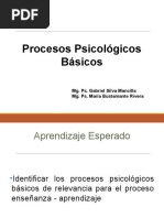 Unidad I Procesos Psicologicos Basicos 2