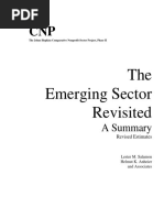 The Emerging Sector Revisited: A Summary