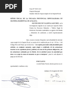 Escrito FPEMA Caso 2019-26 (Silver Valdivia)