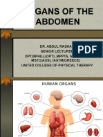 Ans of Abdomen