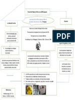 Mapa Conceptual Reggio Emilia - Liliana