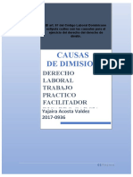 Causas de Dimisión