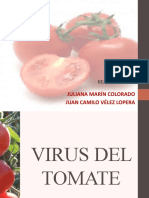 Virus Del Tomate