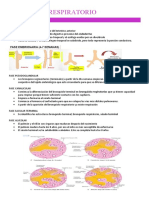 Fisiología Respiratorio