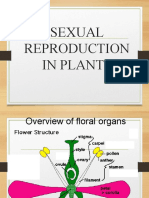 Sexual Reproduction